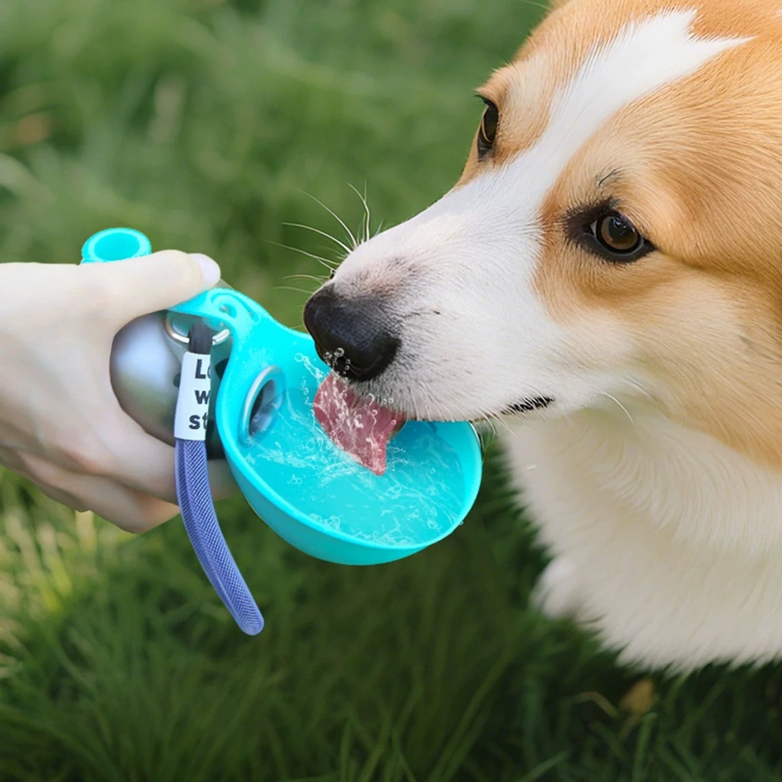 💧 Gourde Portable Premium pour Chien et Chat